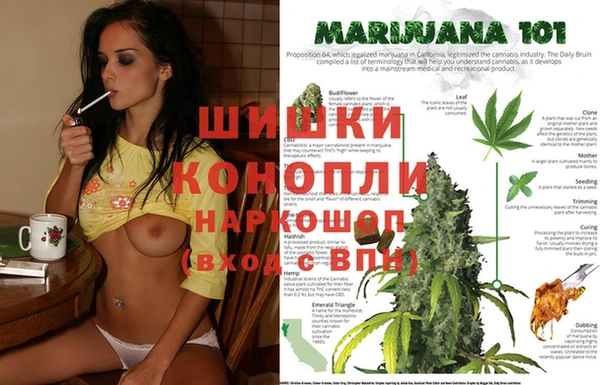 стафф Армянск