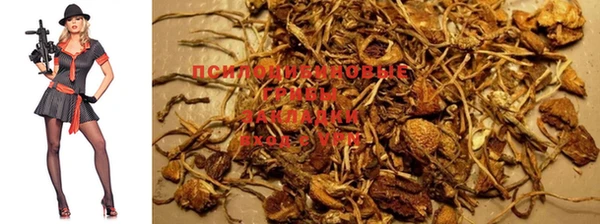 прущая мука Аркадак