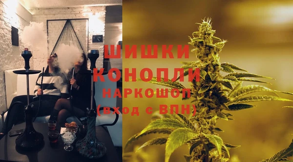 эйфоретик Арсеньев