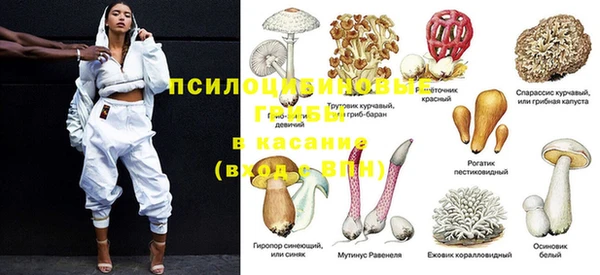 стафф Армянск