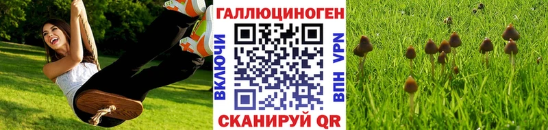 Галлюциногенные грибы Magic Shrooms  цены   Фокино 